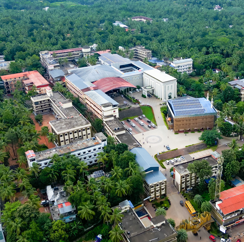 Drone View