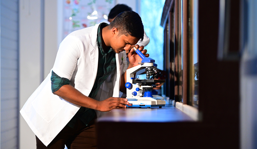 Professional & Technical Colleges
